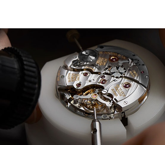 H.Moser & Cie About Image